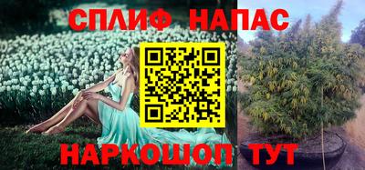 гидропоника Краснознаменск