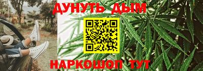 гидропоника Краснознаменск