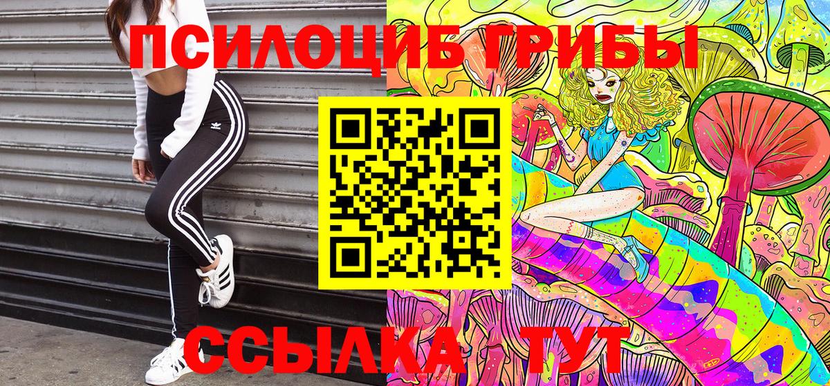 Псилоцибиновые грибы Cubensis Корсаков