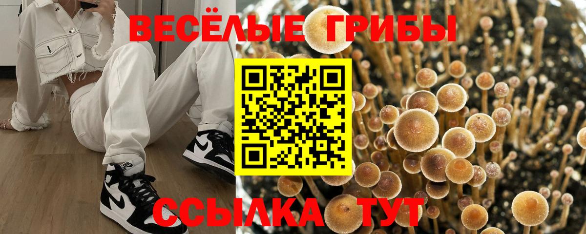Корсаков  Галлюциногенные грибы ЛСД  Вход с VPN 