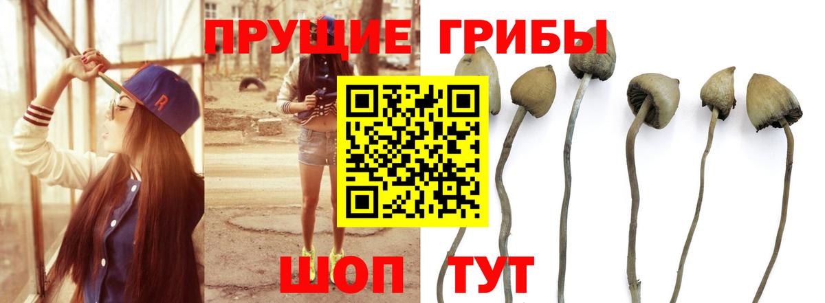 КОКАИН  Корсаков  Вход с VPN  Меф МЯУ МЯУ кристаллы  МАРИХУАНА  Лсд 25 